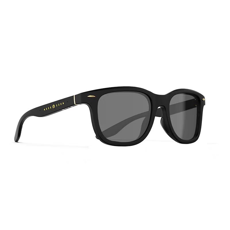Smart Sunglass-GMW3039